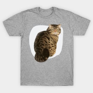 Angry Adorable Tabby Cat staring at you T-Shirt